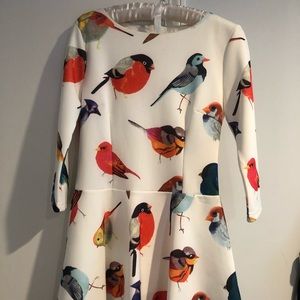 Neoprene colorful birds dress S/M